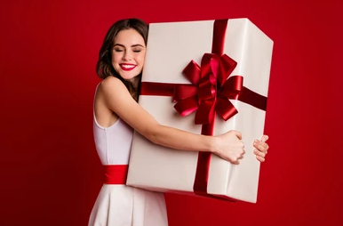 The Large Dragonfly Package