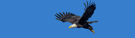 Living your life fulfilled